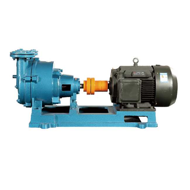 2BV 2BE 202 Series Water Ring Vacuum Pump